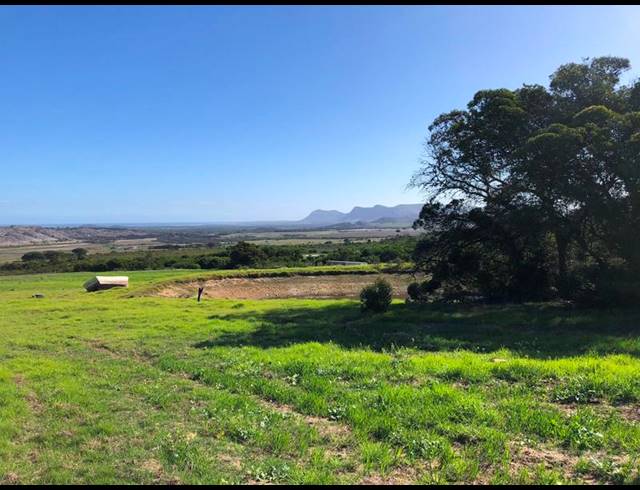 FARM FOR SALE IN BAARDSKEERDERSBOS